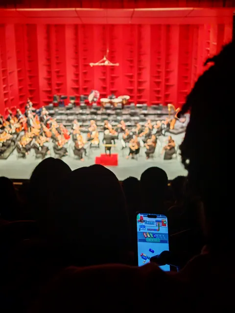 Went to a concert last night and a couple in front spent half of the show playing on their phones