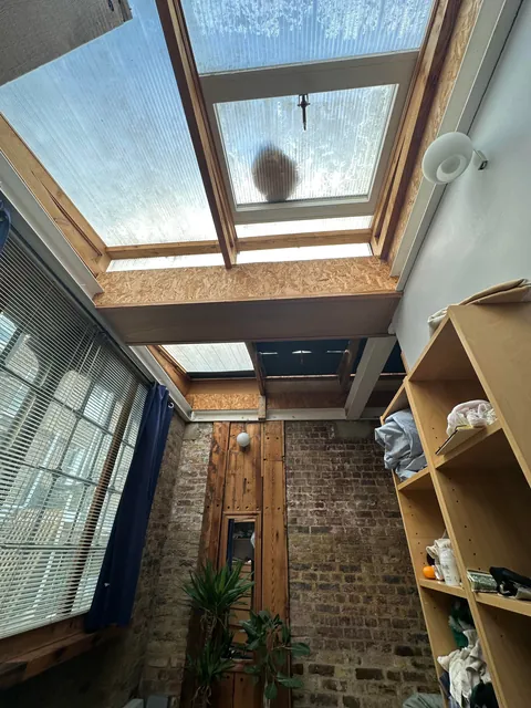 My cozy garden flat in London, featuring my fuzzy friend who slept on the roof