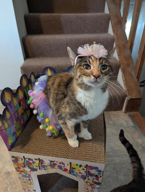 Kate turned 20! 🎉