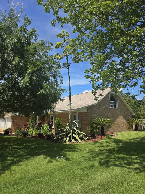 Just wanted every one to see the last bit of time this Agave has left.