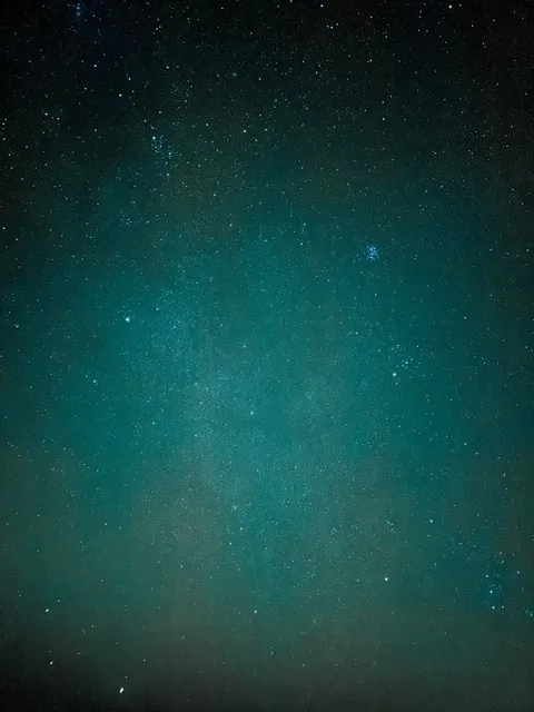 Amateur photographer here. Took them a couple of nights ago with my iPhone.