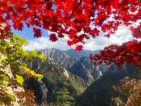 Fall season in Seoraksan National Park, Korea last Saturday [1334x750][OC]