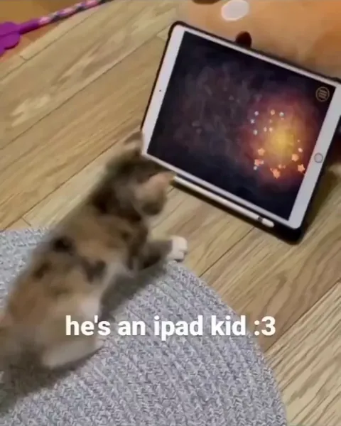 I think it's his favorite game😂