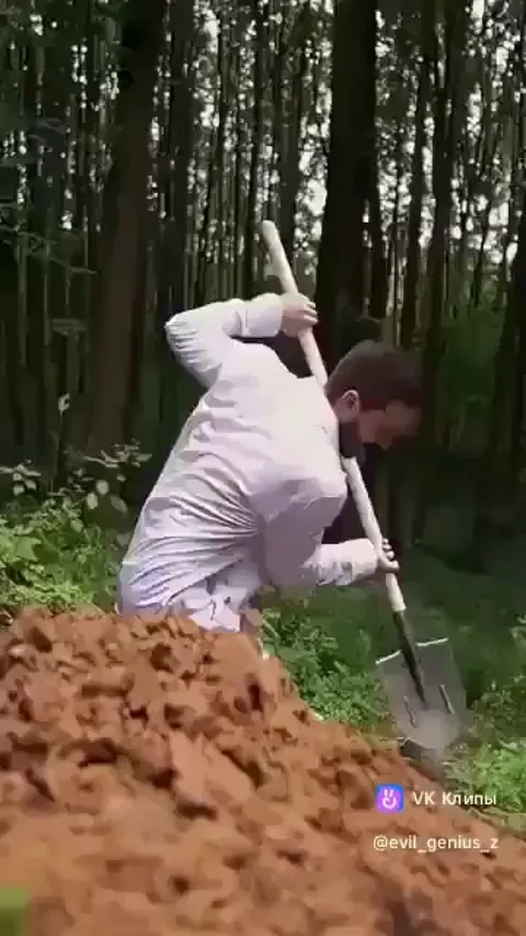 Finding a treasure in a forest