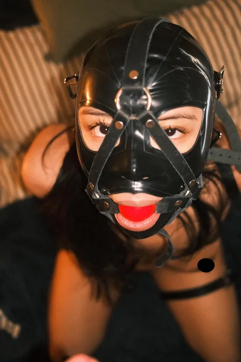 First post here, hope you like a good harness gag;)