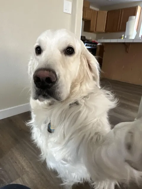 Felt cute might delete later