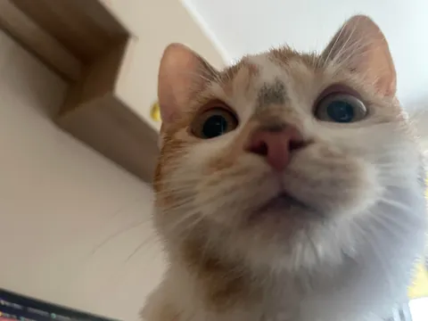 Name her after the last thing you drank