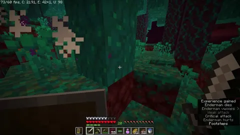 a little misstep in the nether made me rethink my life