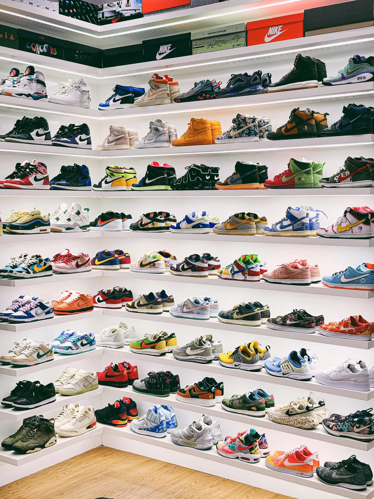 Updating the Collection