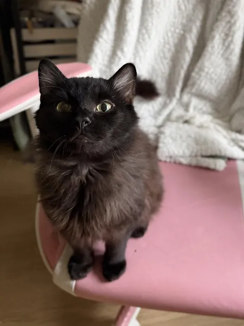 he is a very happy boy