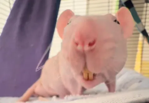 My favorite pictures of Explosion facing forward