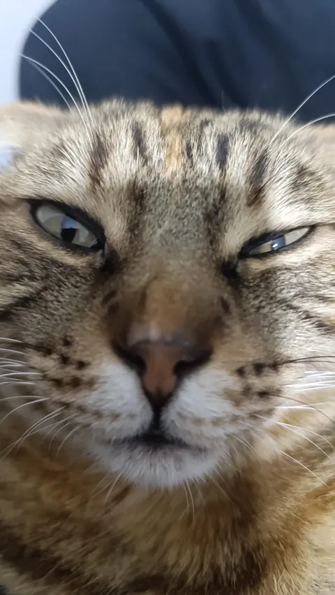 Ladies and Gents, meet Pixel.