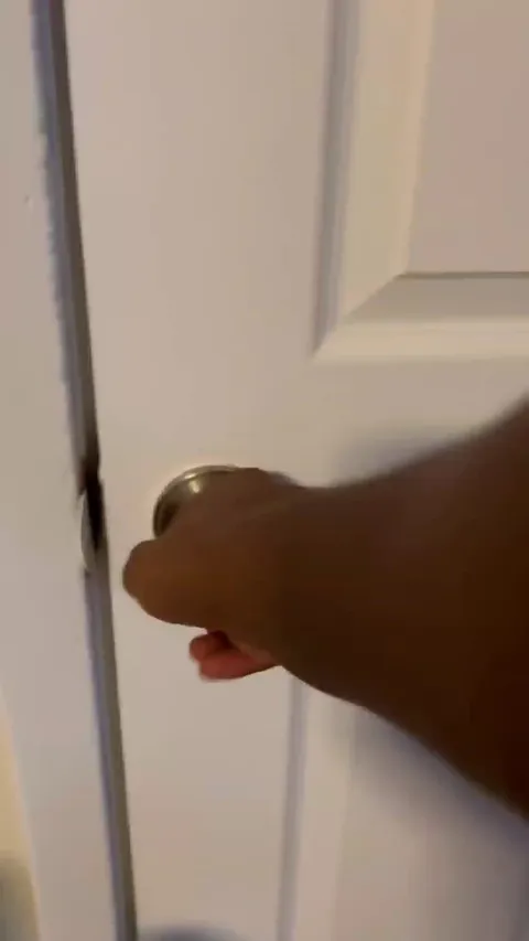 Happy iguana is all smiles when his momma returns.