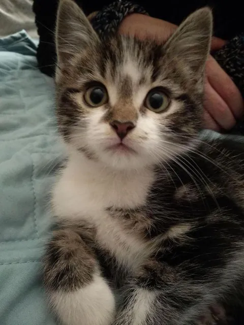 Can’t stop looking at this.