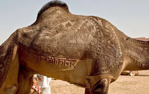 The fascinating Art of Camel Barbering in India