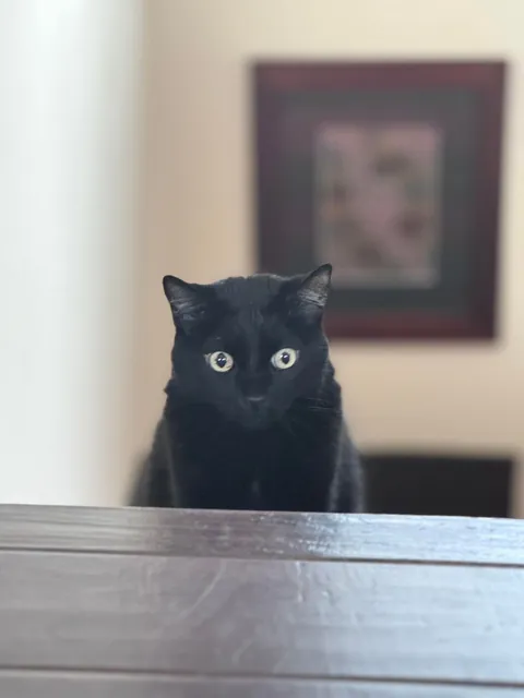 My friend’s black void has never shown himself to me until now and caught me by surprise