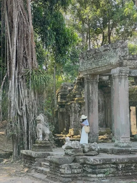 Three months around Southeast Asia