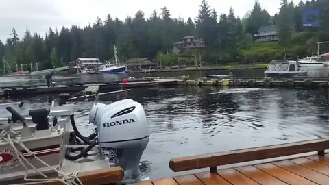 🔥The waters of this Harbor are so deep that even larger creatures can appear.
