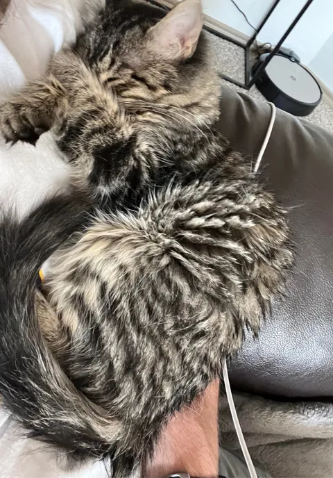Every time I sit down he insists on taking his naps in my arm