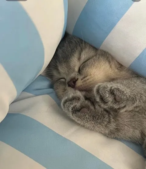 They melted again. I can’t with these two.