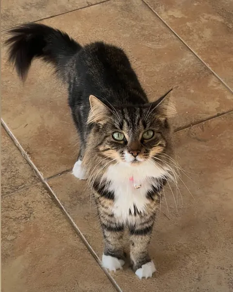 i love her so much, she’s the loml