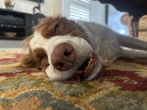 The walk was not THAT GOOD