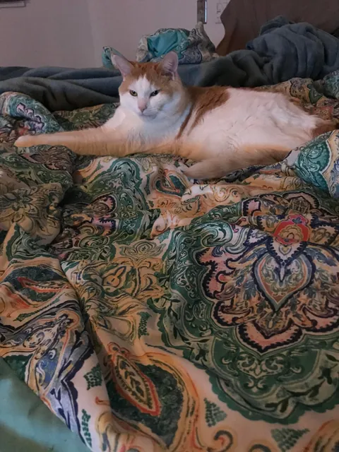 I lost my Baby, I’m heartbroken