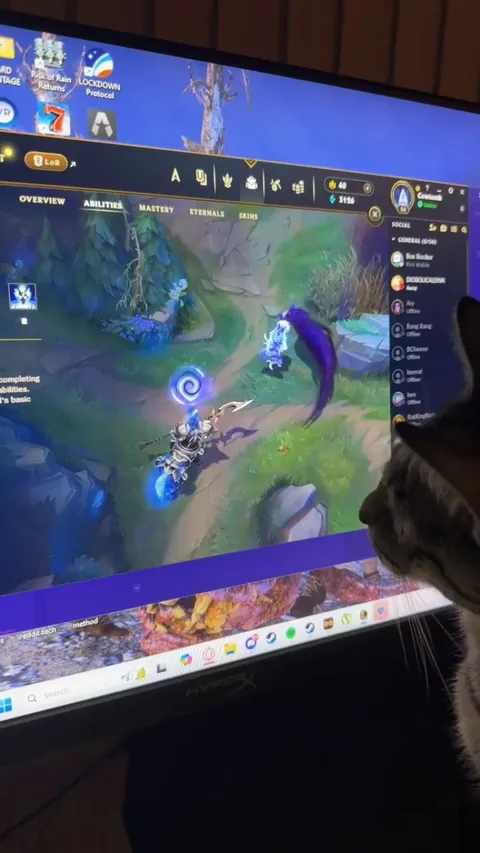My cat really likes Kindred.