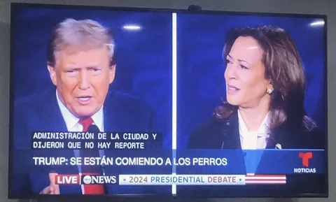 This is our democracy 