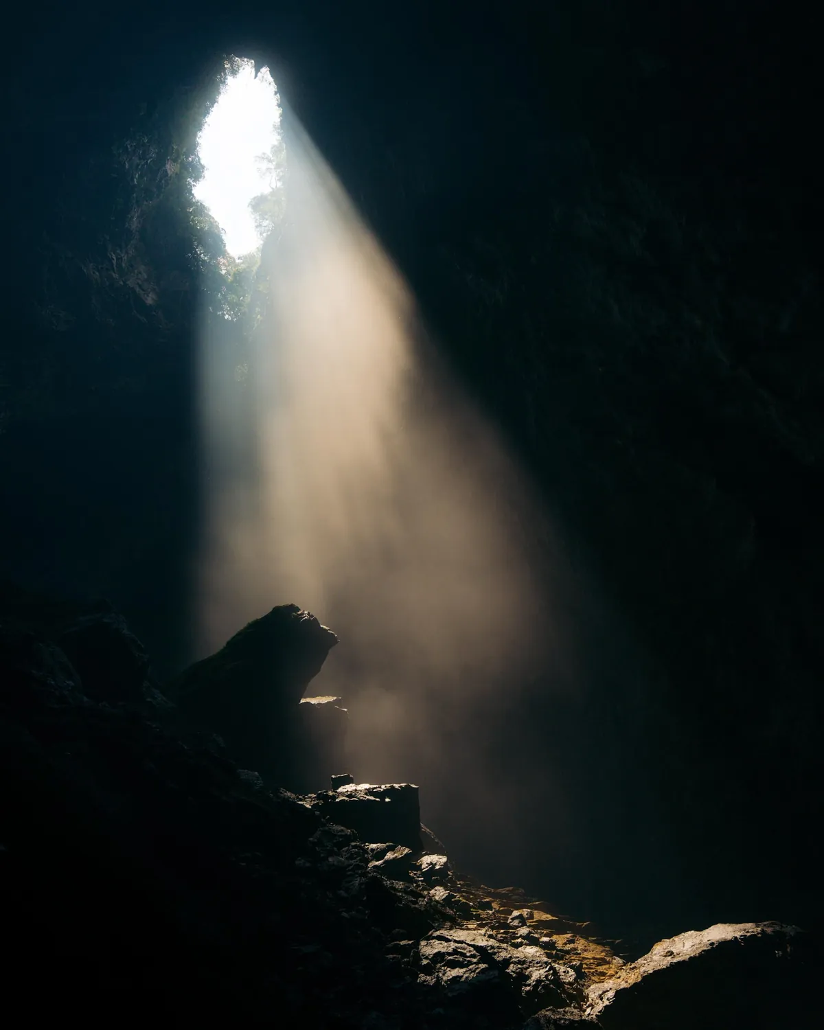 Hang Son Doong - The Largest Cave on Earth