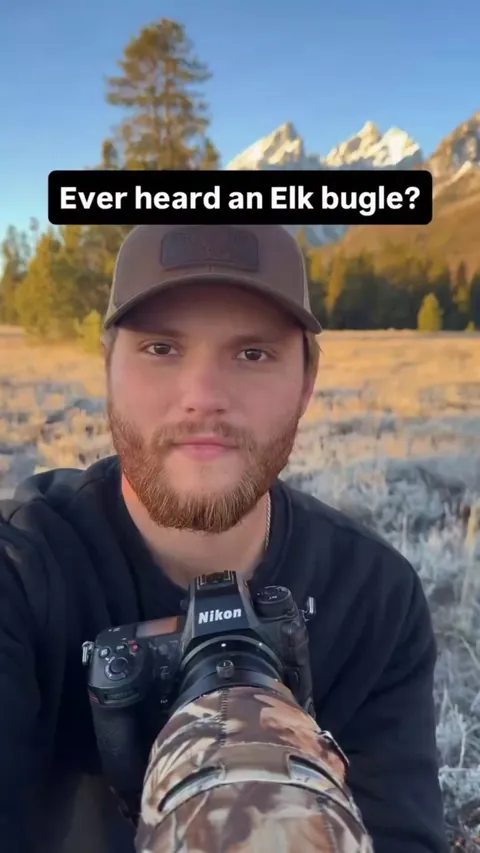 🔥Sound of an Elk Bugle🦌