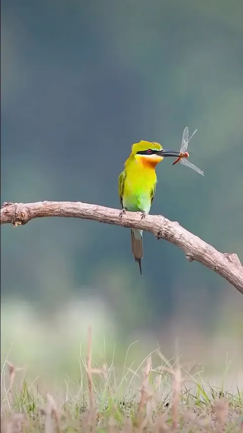 🔥 Full belly = plenty of energy