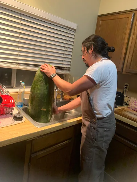 Behold the fruit of my labor 