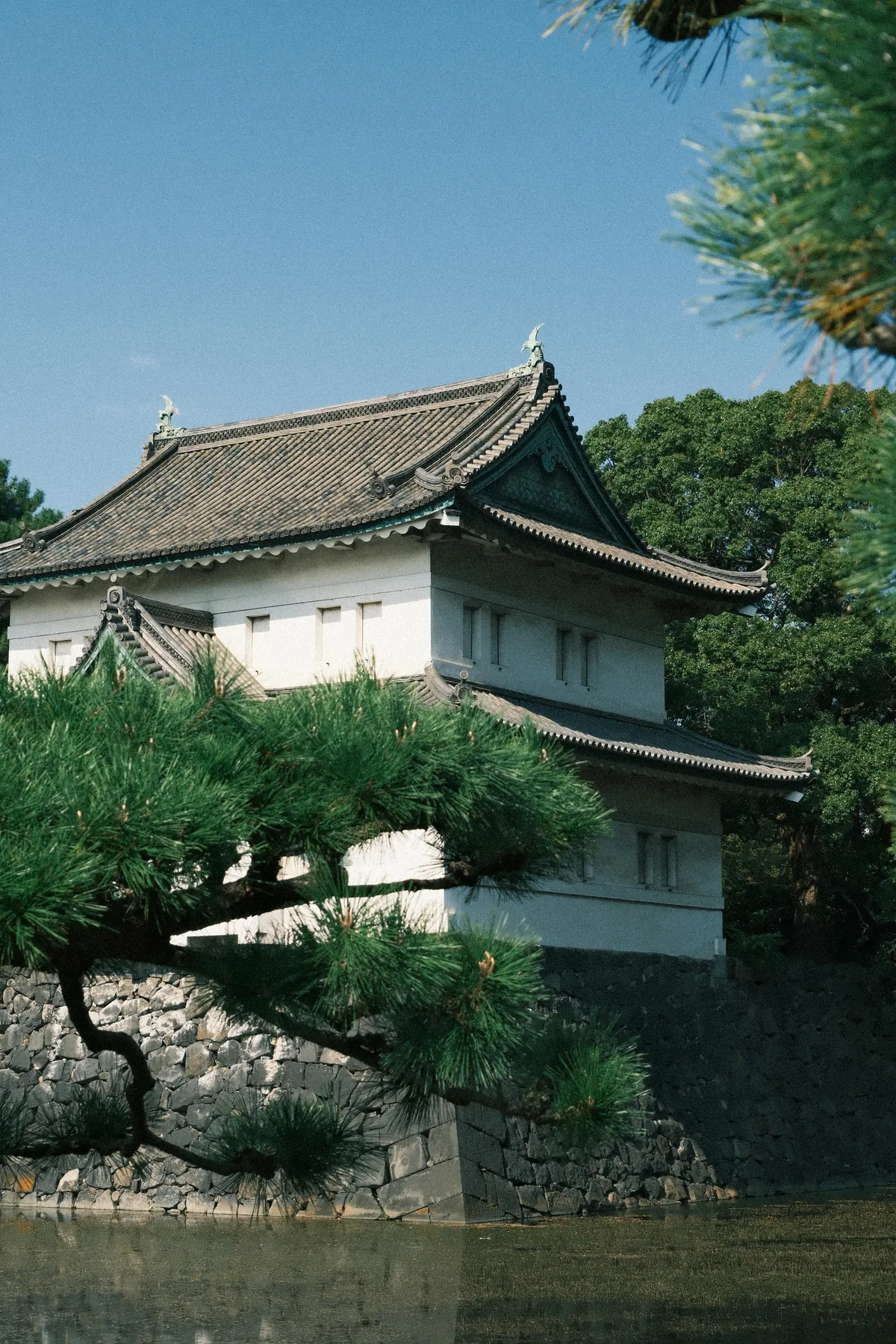 Our First 4 Days in Tokyo 🇯🇵