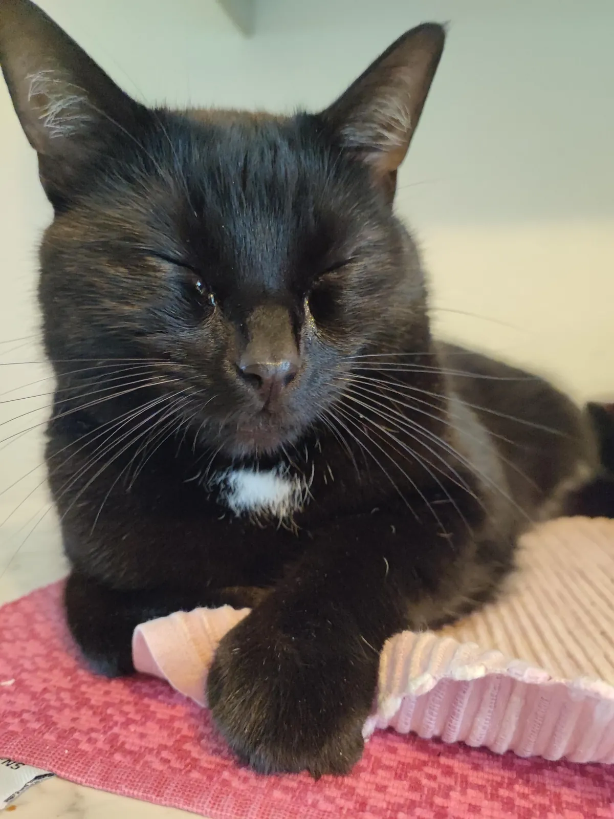 He found me crying . He crew too . We both crode 😭 aka I told him to stay away from the kitchen while I make french onion soup