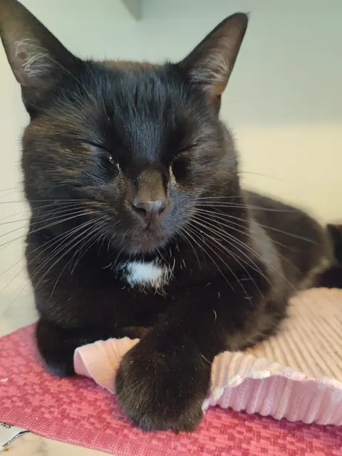 He found me crying . He crew too . We both crode 😭 aka I told him to stay away from the kitchen while I make french onion soup