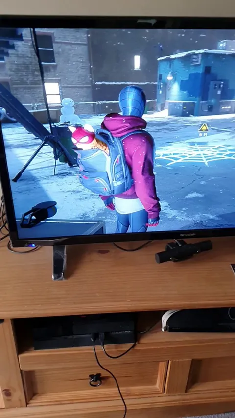 My cat doesn't like Spidercat...