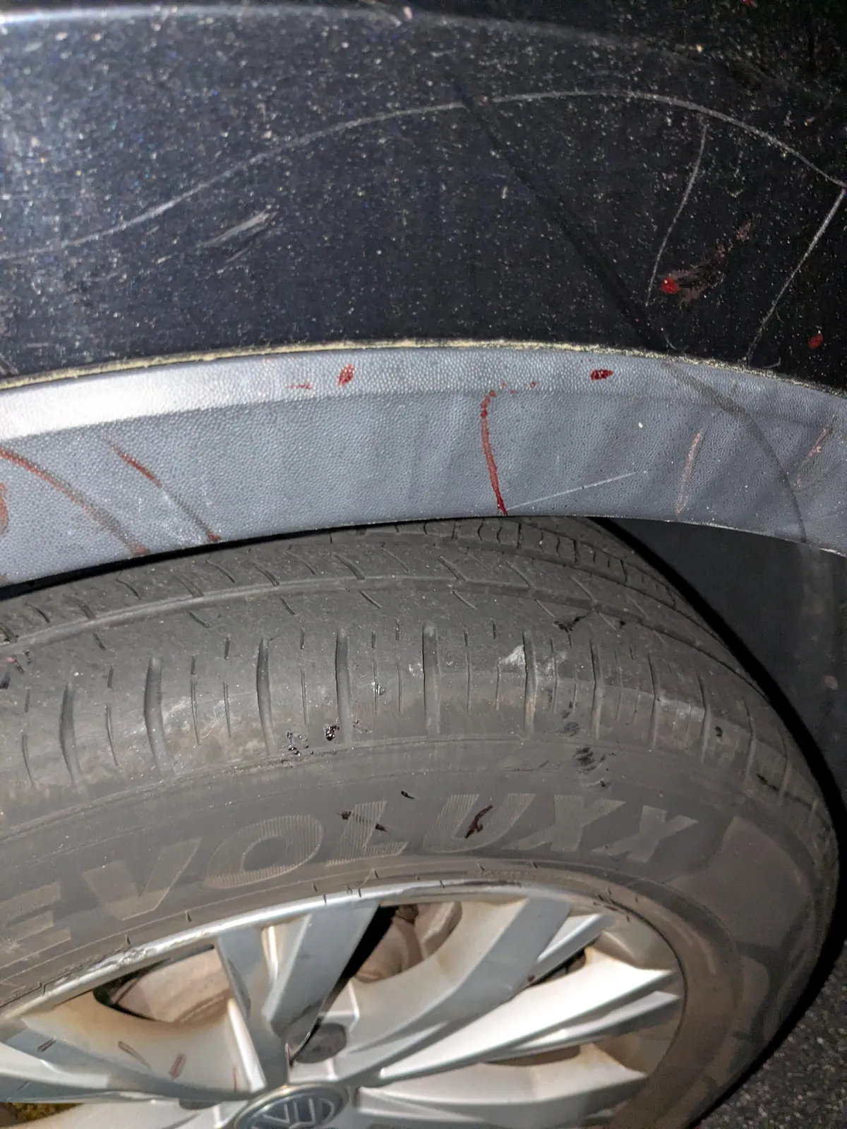 Found a shit ton of scratches and dried blood on my car tonight, looks like maybe some rabid animals were fighting near it?