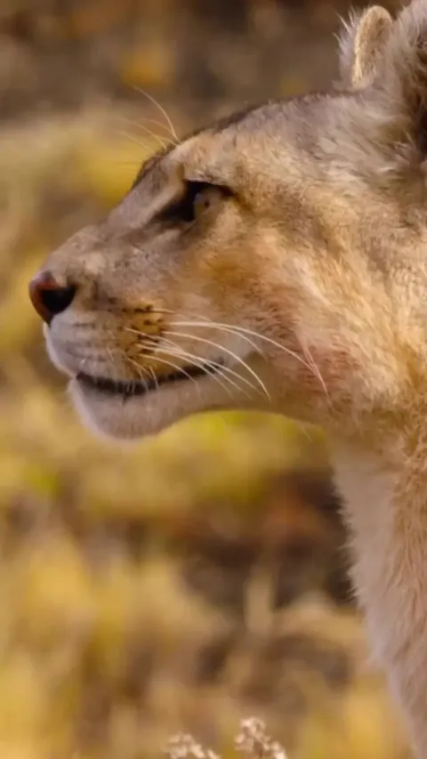 So happy to see their mom come back