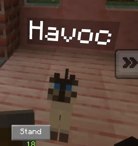 Found my cat after he passed.