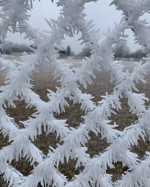 Ice pattern on a wire fence