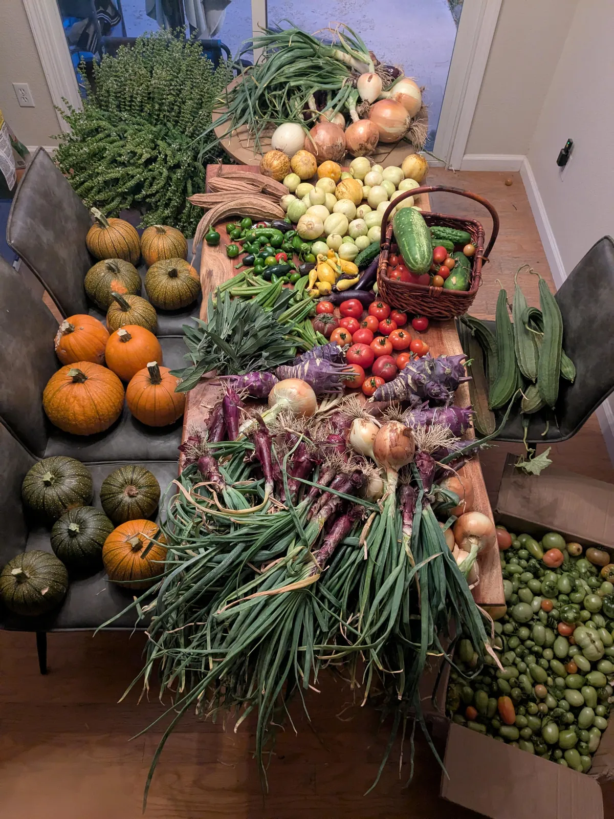 Farewell season of 2025!