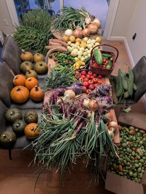 Farewell season of 2025!