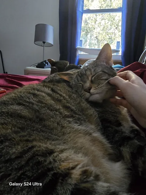 I'll always love and miss you Sushi