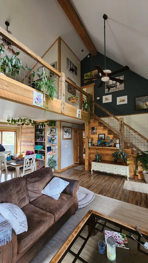 My house with apparently not enough plants! 