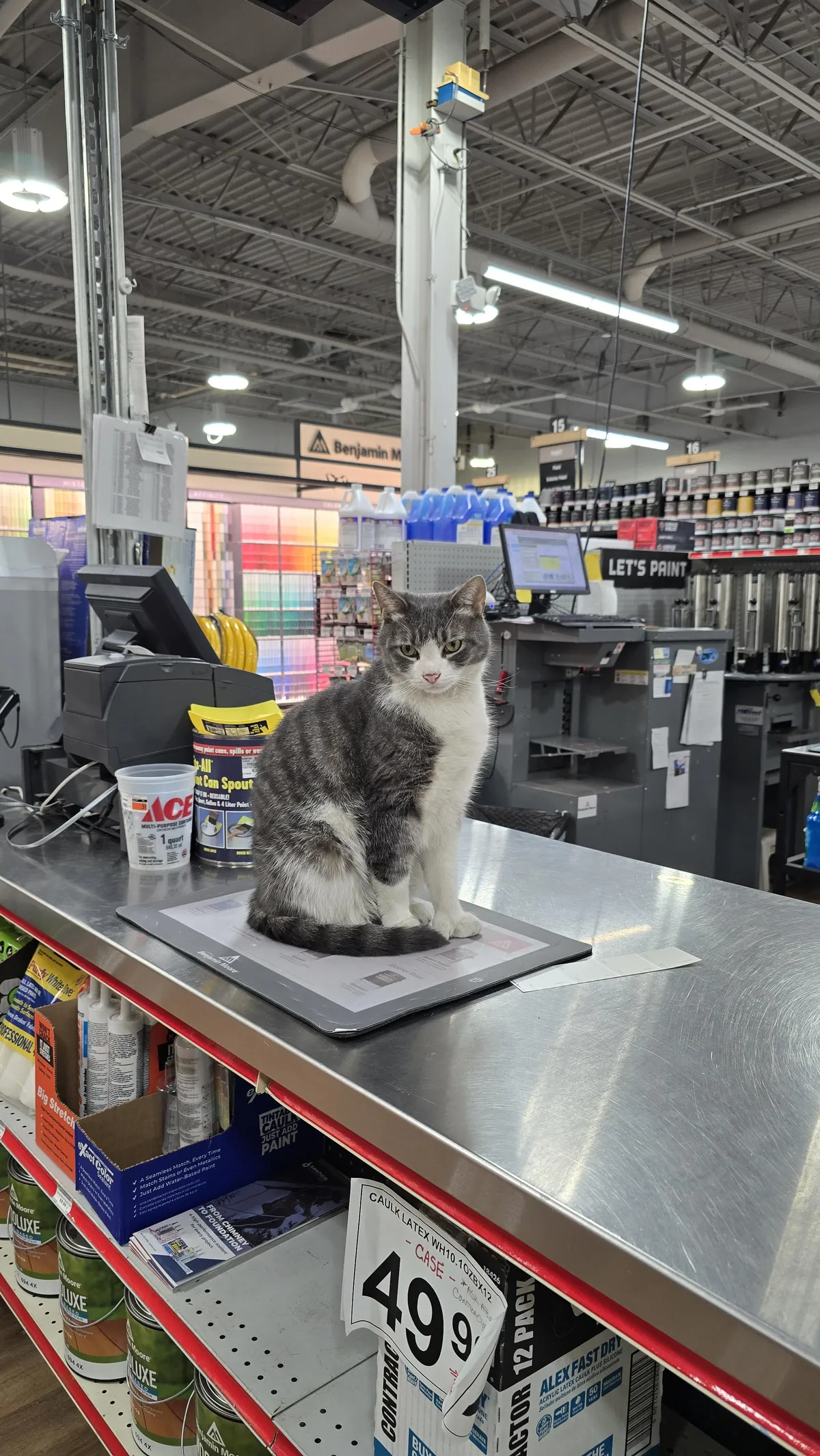 The new paint department manager doesn't take any crap from the employees