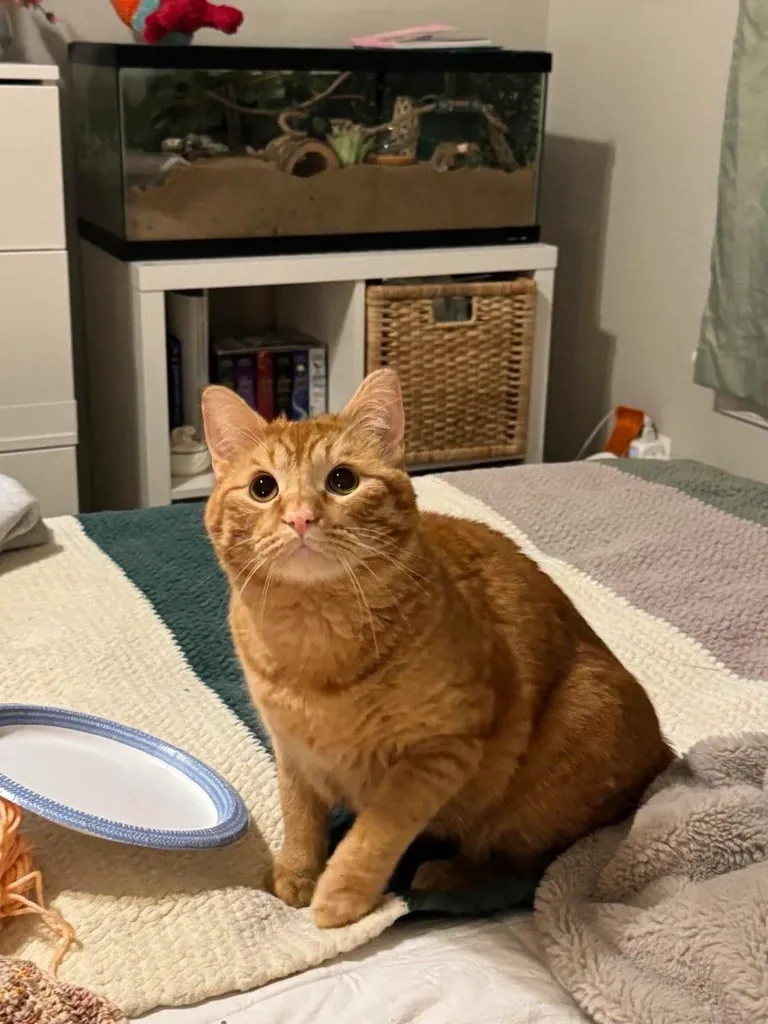 I’m going to cry why is he so cute