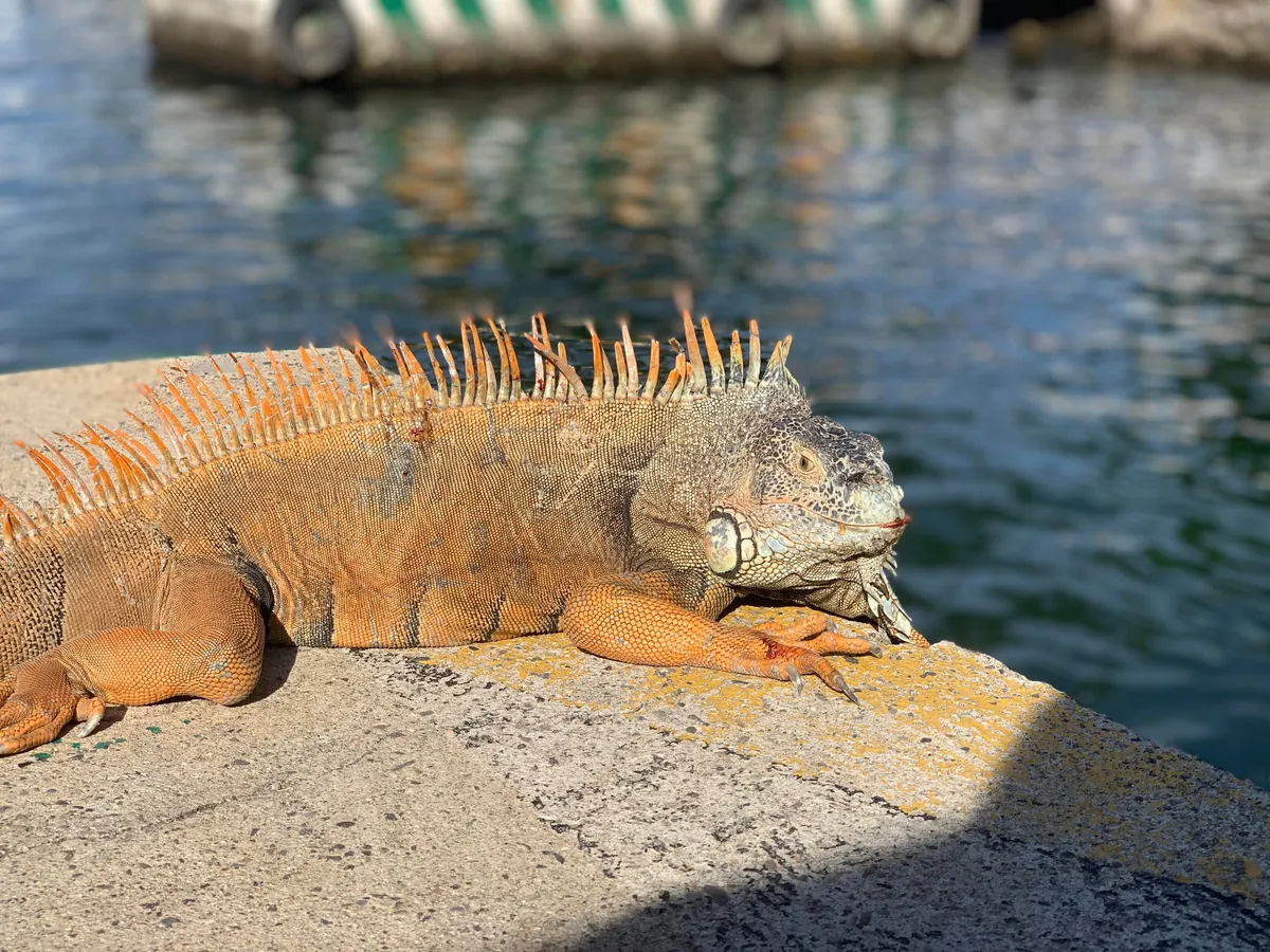 What’s your “i could have died moment” in traveling? My 3-day quick trip to puerto vallarta