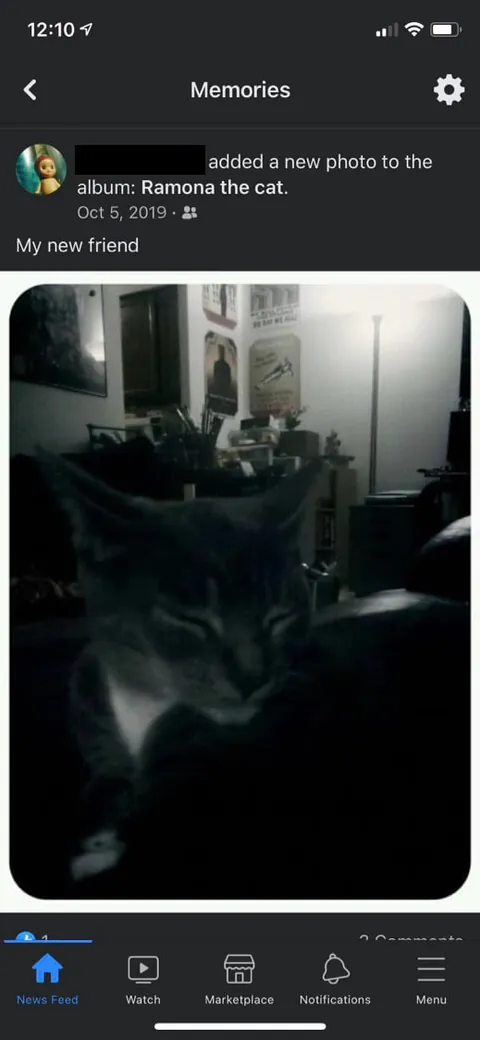 Goodnight my queen, 16 years was not enough and I am devastated.