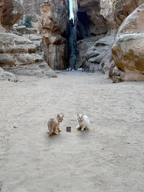 Jordan Trip November 2025